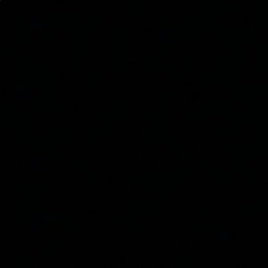 Meet your Posher, Celia